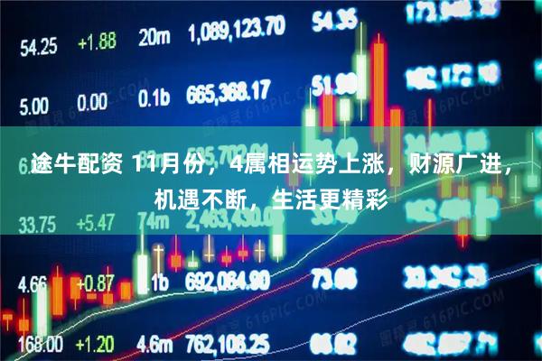 途牛配资 11月份，4属相运势上涨，财源广进，机遇不断，生活更精彩