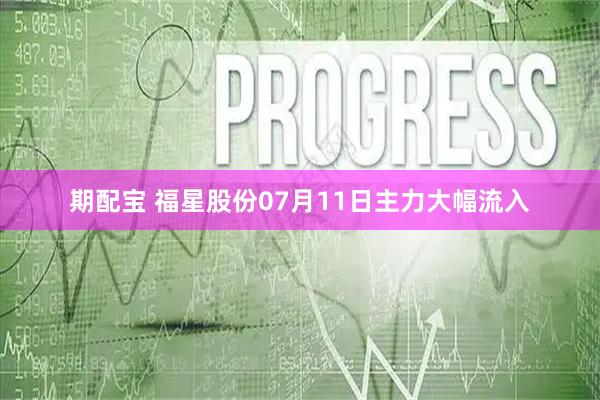期配宝 福星股份07月11日主力大幅流入
