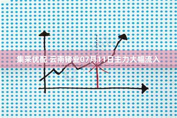 集采优配 云南锗业07月11日主力大幅流入