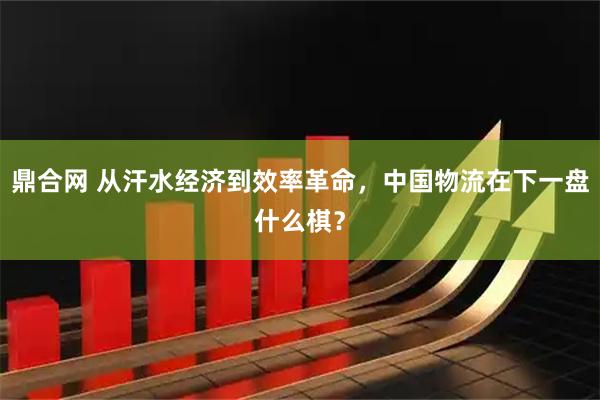 鼎合网 从汗水经济到效率革命，中国物流在下一盘什么棋？